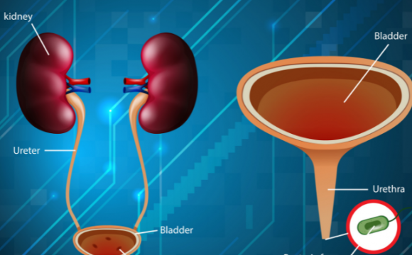 Symptoms & Different Types of Urinary Tract Infection